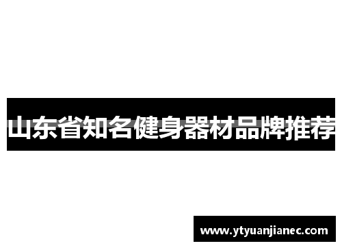 山东省知名健身器材品牌推荐