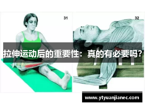 拉伸运动后的重要性：真的有必要吗？