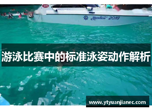 游泳比赛中的标准泳姿动作解析